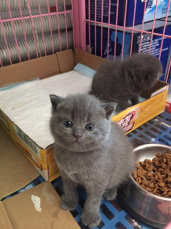 ����ǣ���һ������£�С�һ�����Լ���