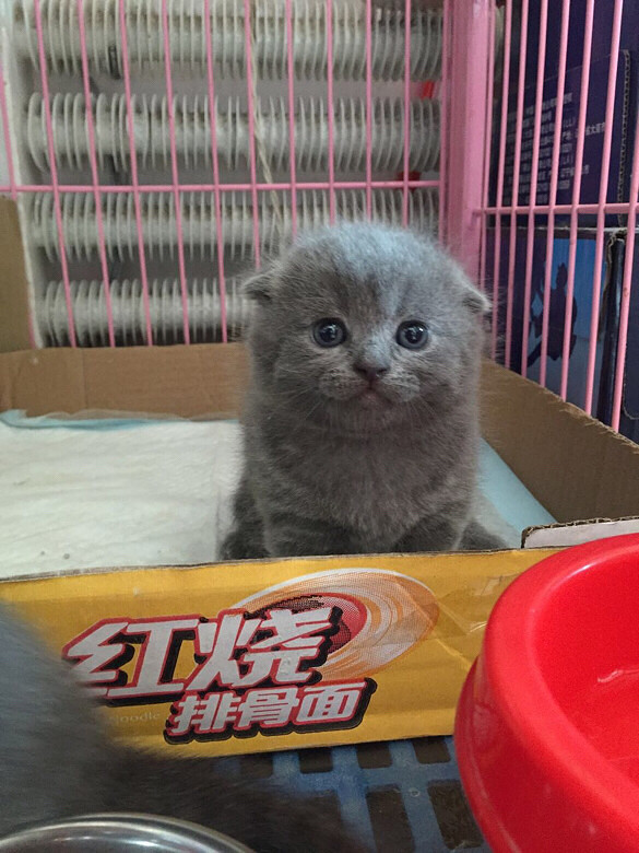 ����ǣ���һ������£�С�һ�����Լ���