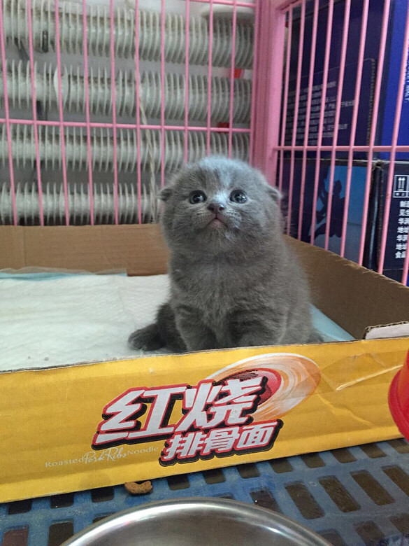 ����ǣ���һ������£�С�һ�����Լ���