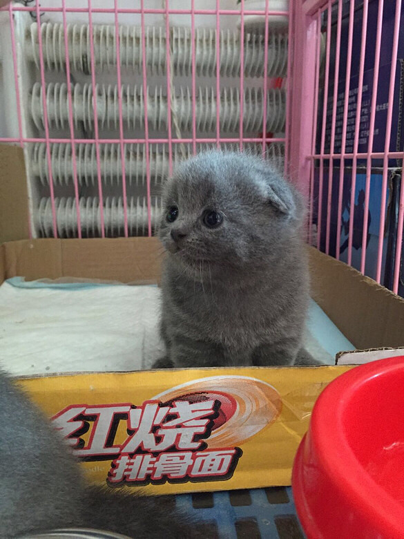 ����ǣ���һ������£�С�һ�����Լ���