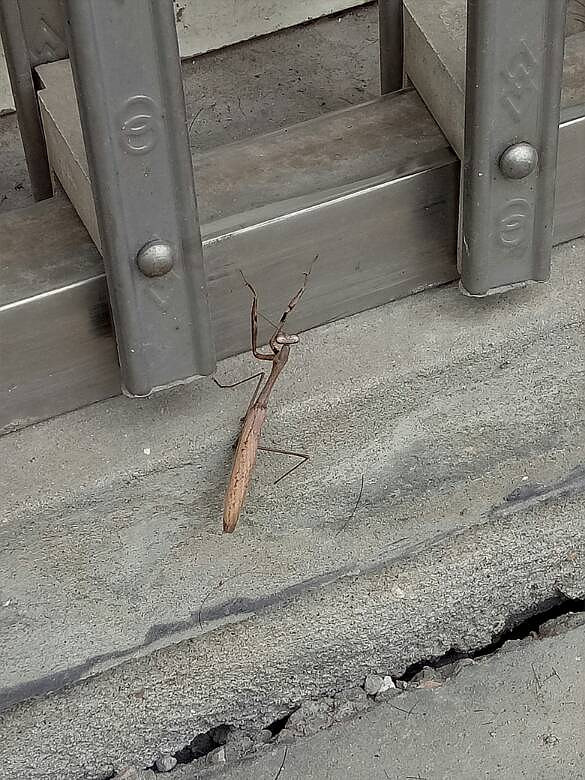 ����ɶ����