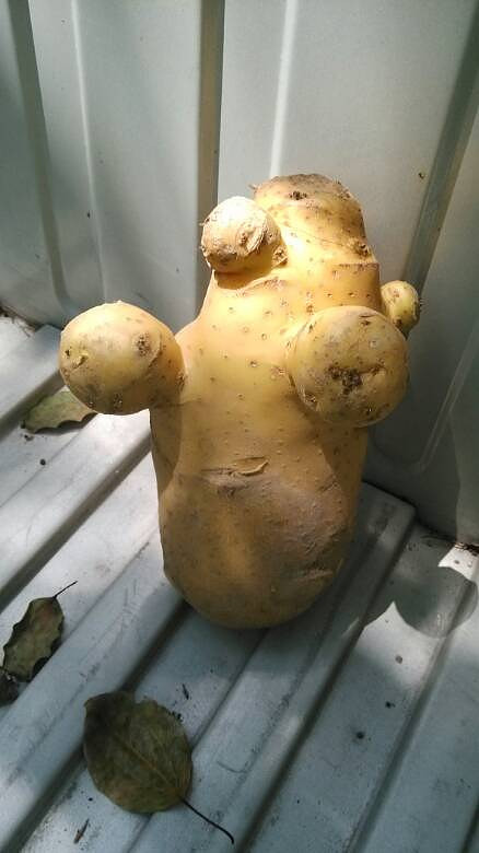 ����ֵ�һ��������ͦ����ģ�