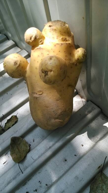 ����ֵ�һ��������ͦ����ģ�