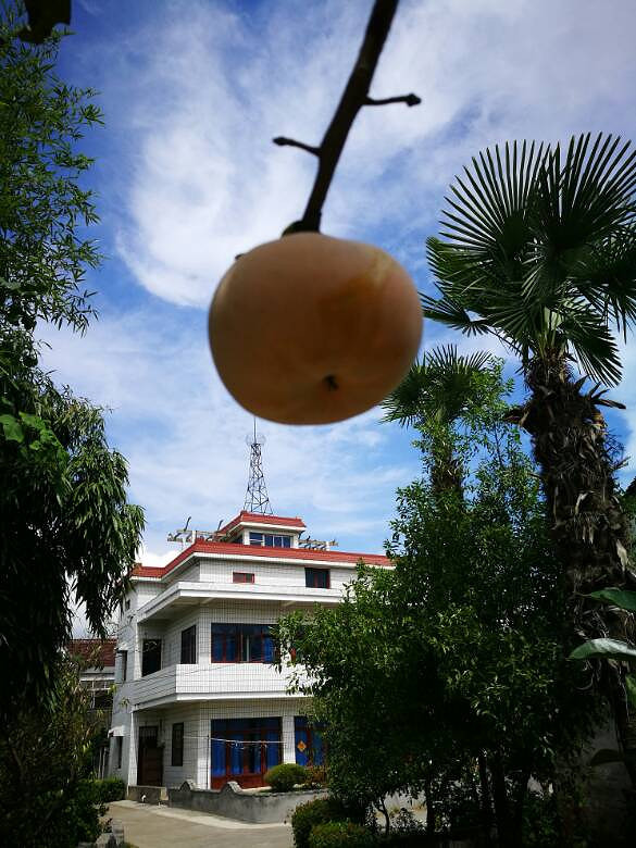 �����һͽ��������������������ˬ����