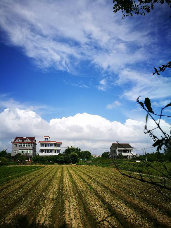 �����һͽ��������������������ˬ����