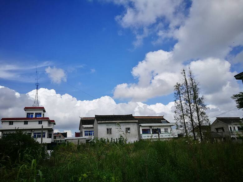 �����һͽ��������������������ˬ����