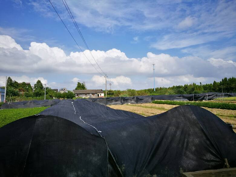 �����һͽ��������������������ˬ����