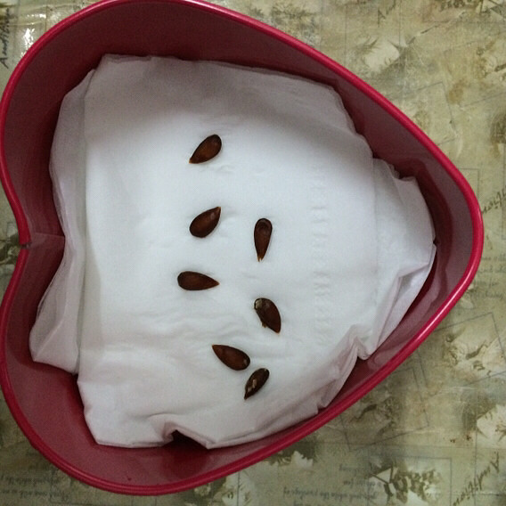 �ȴ�������ѿ