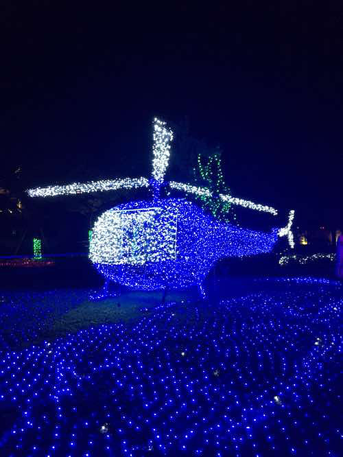 ÷���ݵƹ��