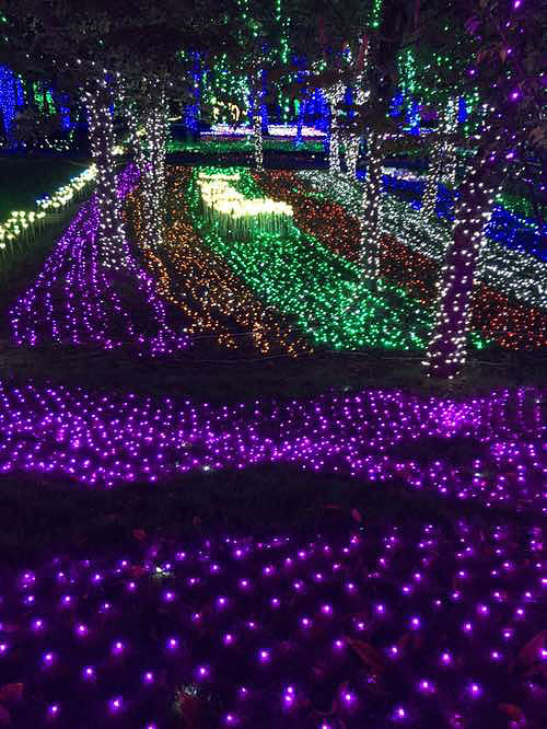 ÷���ݵƹ��