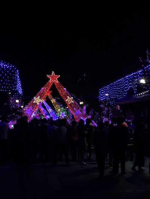 ÷���ݵƹ��