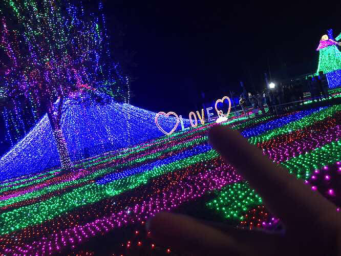 ÷���ݵƹ��