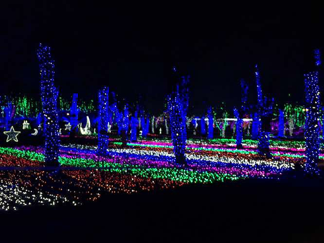 ÷���ݵƹ��