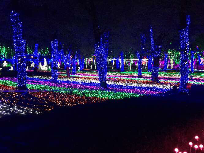 ÷���ݵƹ��