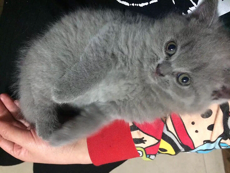 �����Ƥ����