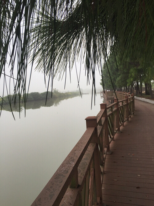 ���ﲻ�³�