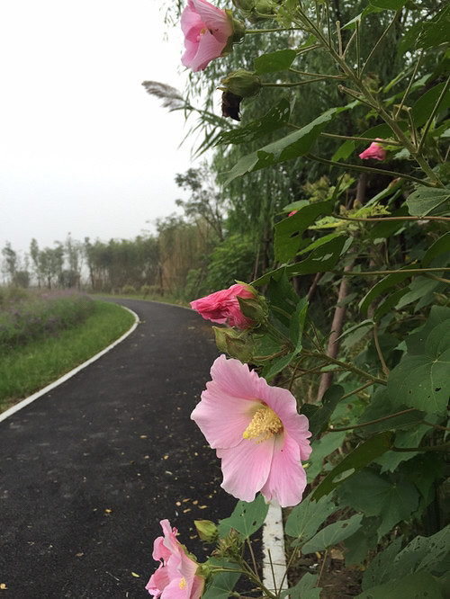 ���ﲻ�³�