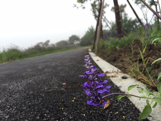 ���ﲻ�³�