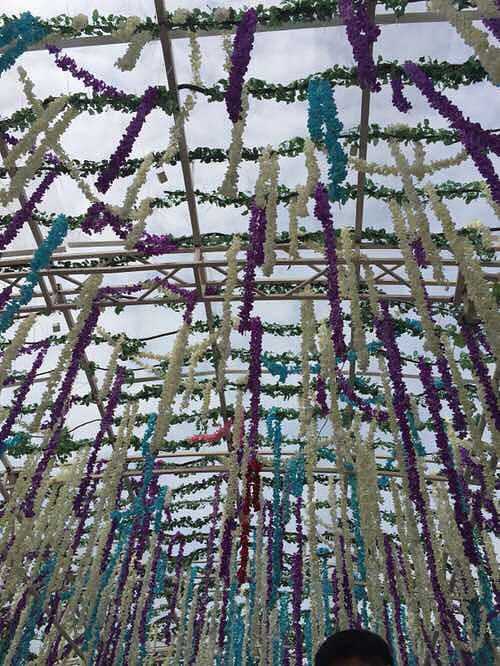 ����չ��������