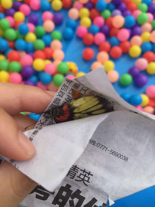 ����չ��������