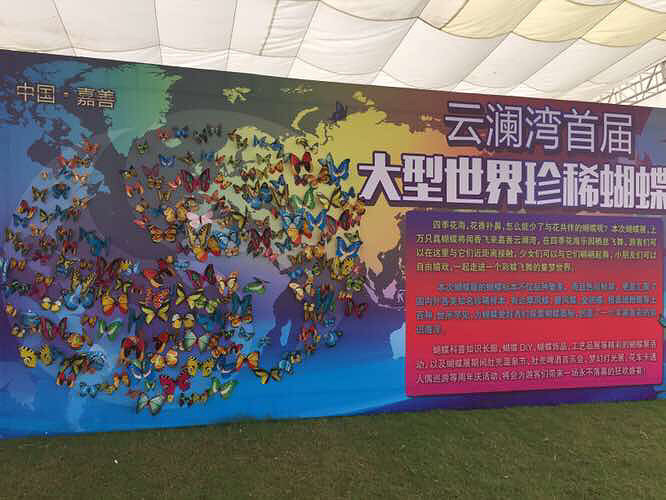 ����չ��������