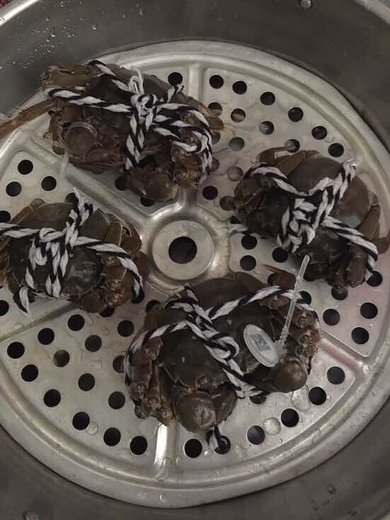 ���������ˣ����ݳ��зȥ�ˡ�