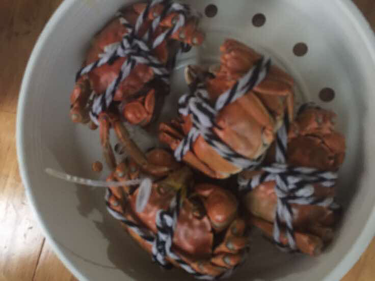 ���������ˣ����ݳ��зȥ�ˡ�