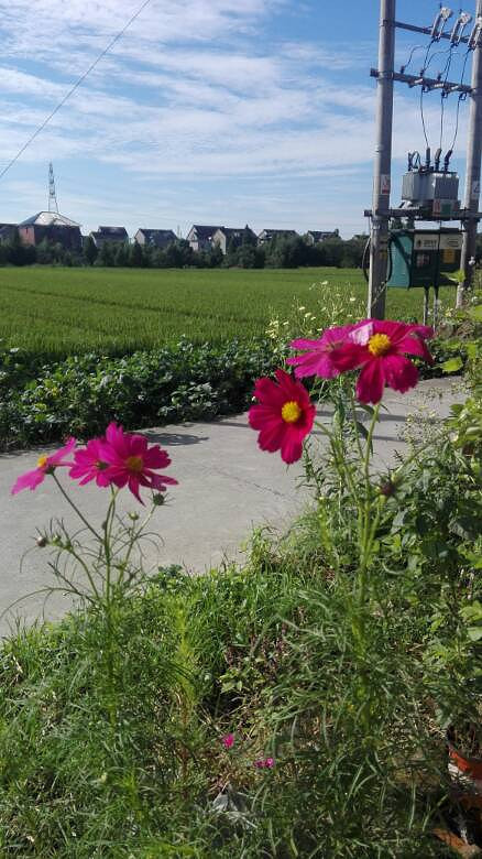 ��Ư���Ļ�