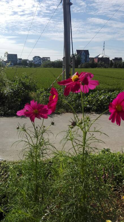 ��Ư���Ļ�