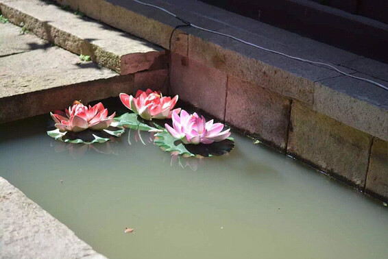 һ��ͼ֤�� ����÷����