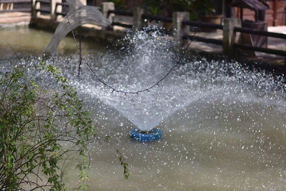 һ��ͼ֤�� ����÷����