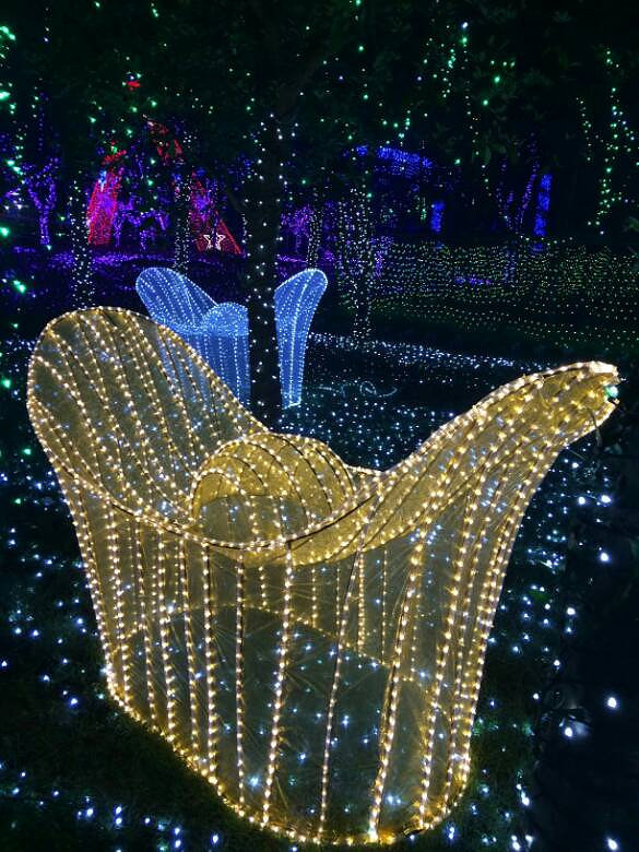 ÷��������