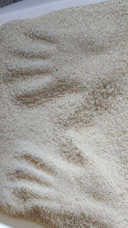 ����������Ϲ�԰�������ﶼ�г��ڣ� ����