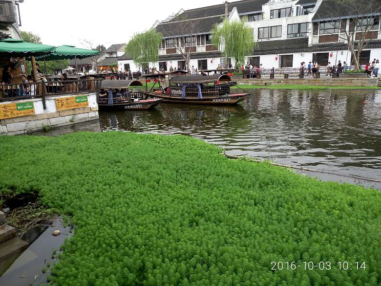 ����һ����