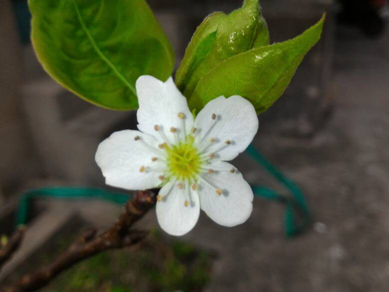 ����������滨����ʱ����