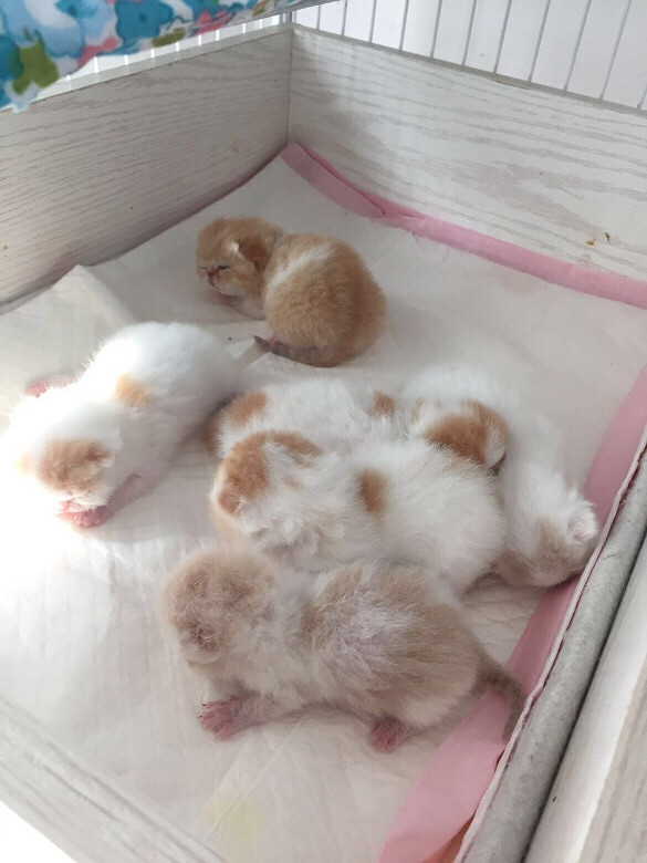 һ���̲���