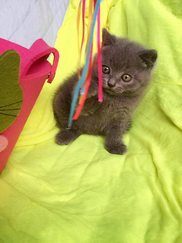 �簲��������