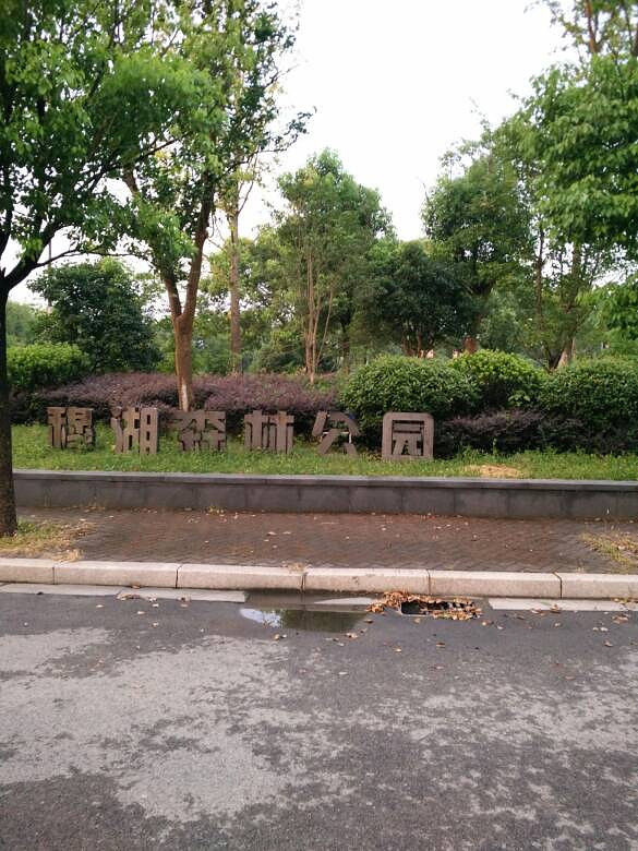 ˭֪���º�ɭ�ֹ�԰�ϱ���һ��Ȧ�ж��ٹ���