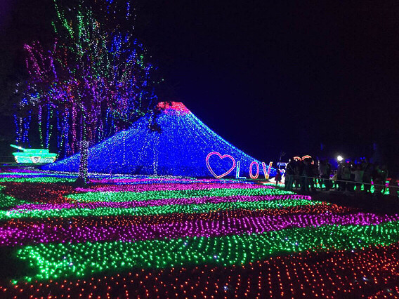 ÷���޵ƹ��