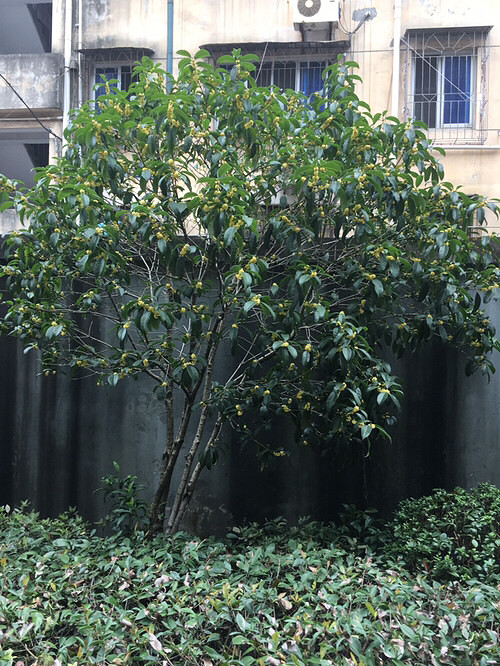 ����ʮ�£�����