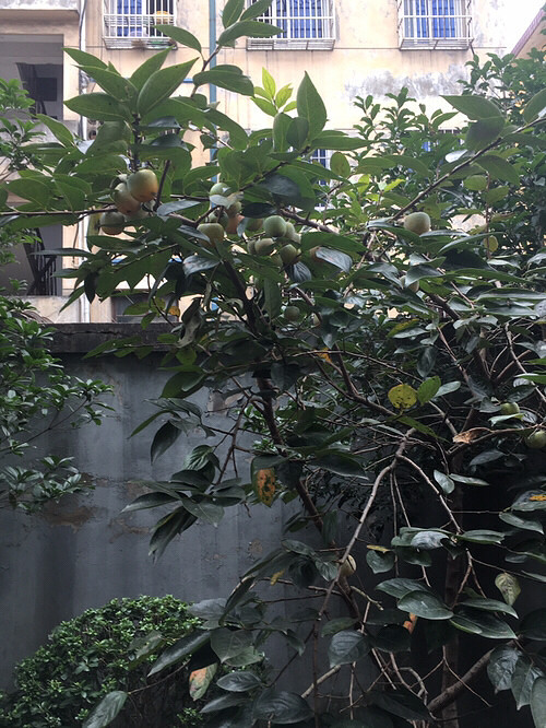 ����ʮ�£�����