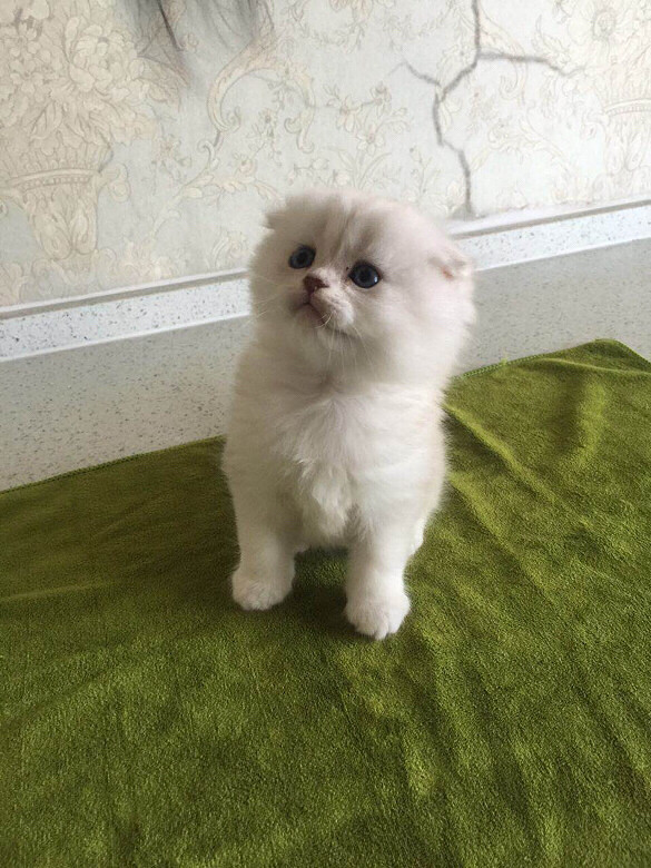 DD���������������Ƭ����һ￴��