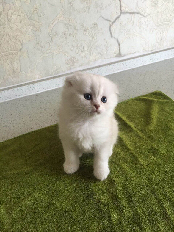 DD���������������Ƭ����һ￴��