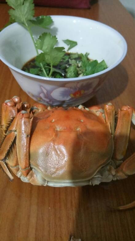 С��С�� �����բз