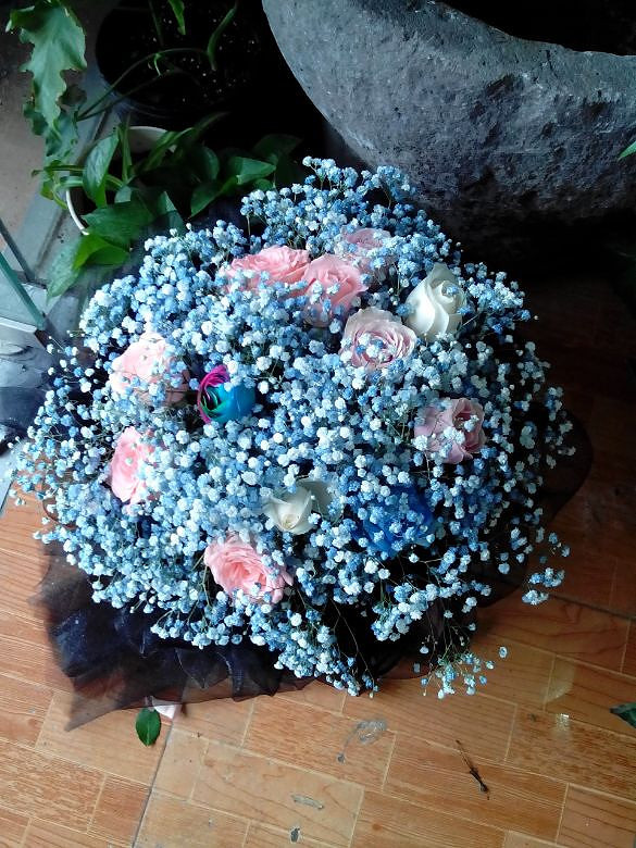 �Ӱ�������