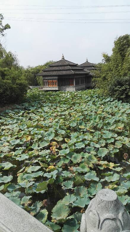 �����Ϻ�һ����