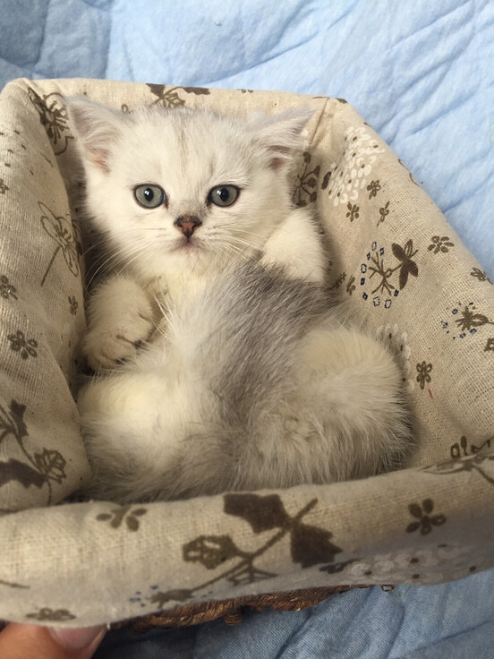 �������Ǳ�������ϲ����������ˣ�˭������