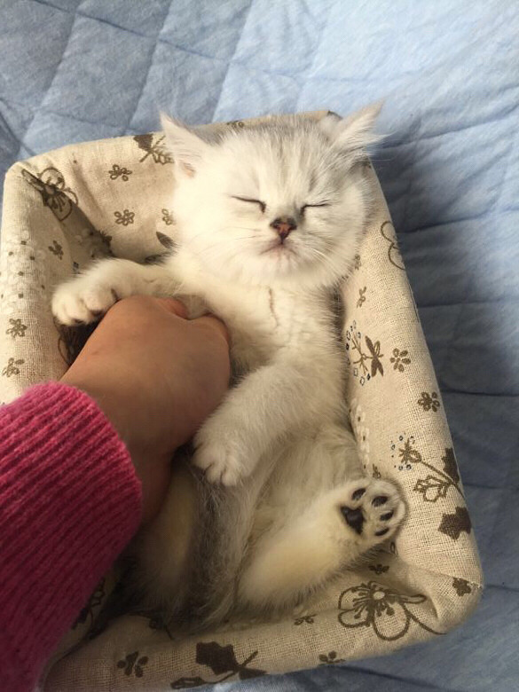 �������Ǳ�������ϲ����������ˣ�˭������