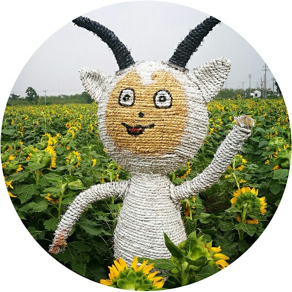 ��������տ����ڿ����ˡ�