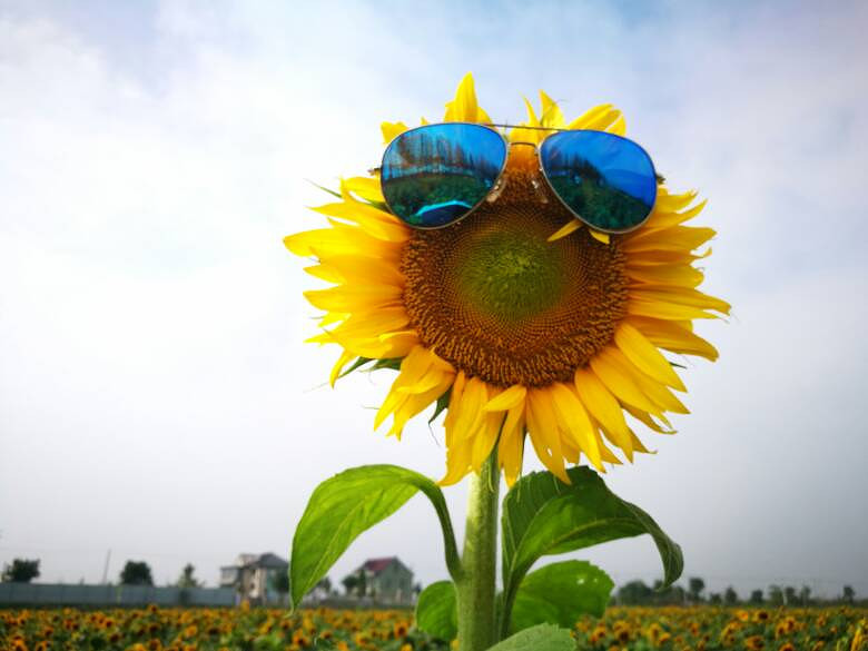 ��������տ����ڿ����ˡ�